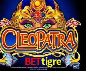 bettigre Curitiba - Live Status